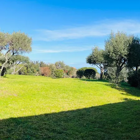 Cocody 6 * Lumio (Corsica)