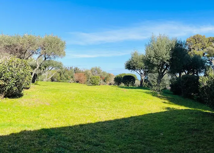 Cocody 6 * Lumio (Corsica)